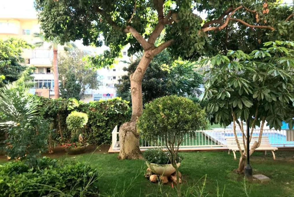Central Beach Apartment With Free Parking And Pool マルベーリャ エクステリア 写真